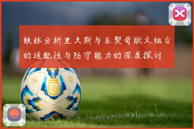 铁林分析里夫斯与东契奇欧文组合的适配性与防守能力的深度探讨