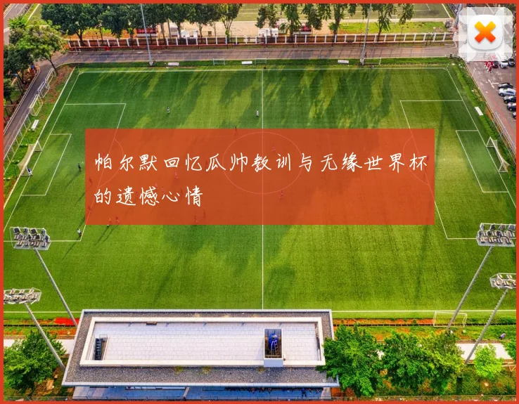帕尔默回忆瓜帅教训与无缘世界杯的遗憾心情