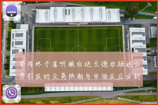 字母终于落听狼白送兰德尔杨这么贵引发的交易热潮与市场反应分析